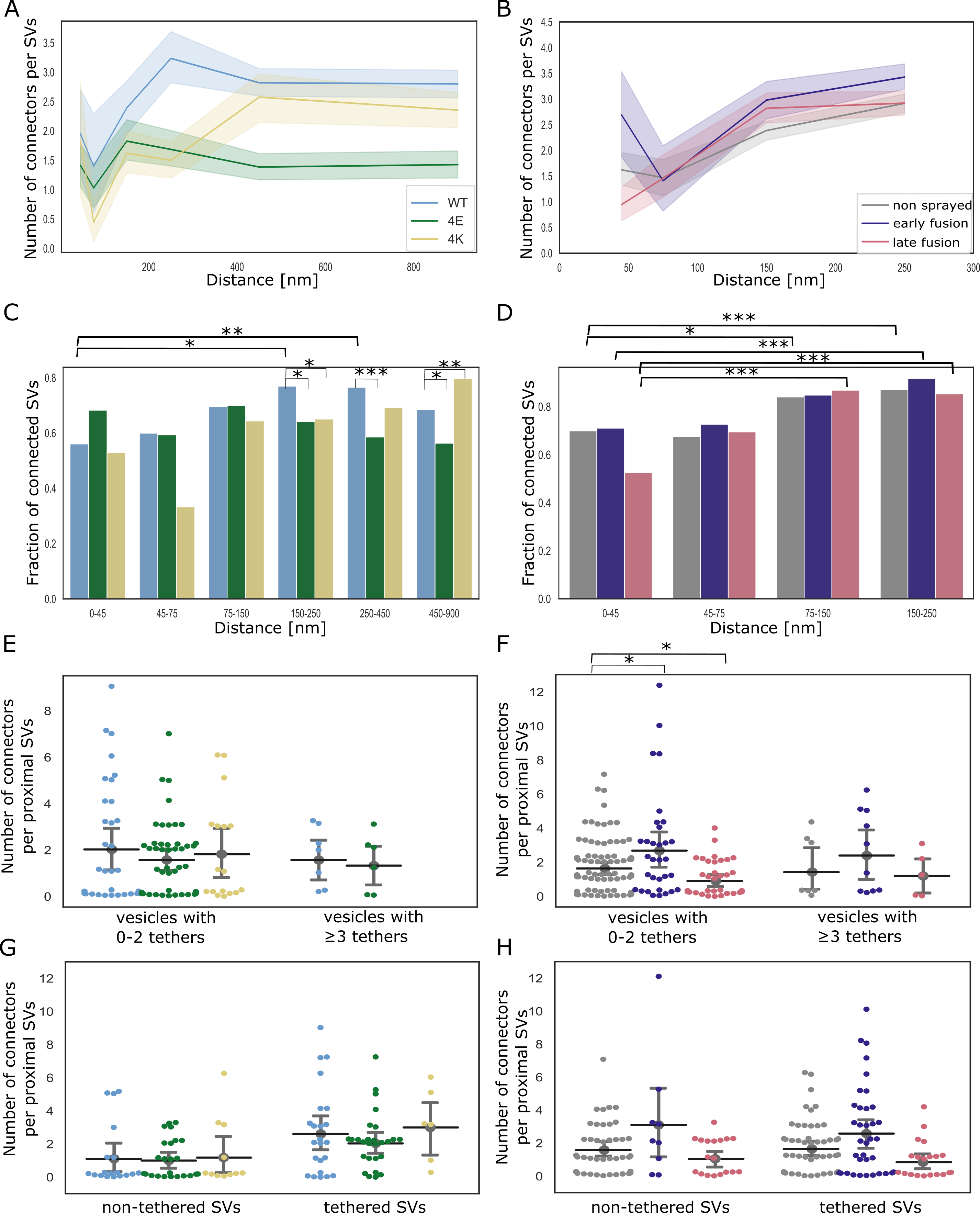 Figure 5: SV connectivity. (A, B) Number of connectors per SV as a function of their distance to the AZ PM for mouse neurons (A) and rat synaptosomes (B) Each solid line represents the average value of all SVs belonging to a particular experimental condition. Shaded areas represent 2xSEM interval ranges. Statistical tests: multiple all against reference pairwise ANOVA comparisons with Benjamini-Hochberg correction. Within a single experimental condition, the reference was the proximal distance group; within a single distance group, the reference was the WT genotype or non sprayed synaptosomes. (C, D) Fraction of connected vesicles as a function of distance to the AZ PM for mouse neurons (C) and rat synaptosomes (D). Statistical test: multiple all against reference pairwise χ2-test with Benjamini-Hochberg correction; references were defined as in (A) and (B). (E, F) Number of connectors per proximal SV belonging or not to the RRP for mouse neurons (E) and rat synaptosomes (F). (G, H) Number of connectors per tethered or non-tethered proximal SV for mouse neurons (G) and rat synaptosomes (H). Statistical tests in (E-H): multiple all against control pairwise ANOVA comparisons with Benjamini-Hochberg correction. Control was WT genotype or non sprayed synaptosomes. In all statistical tests, *: P<0.05, **: P<0.01, ***: P<0.001.