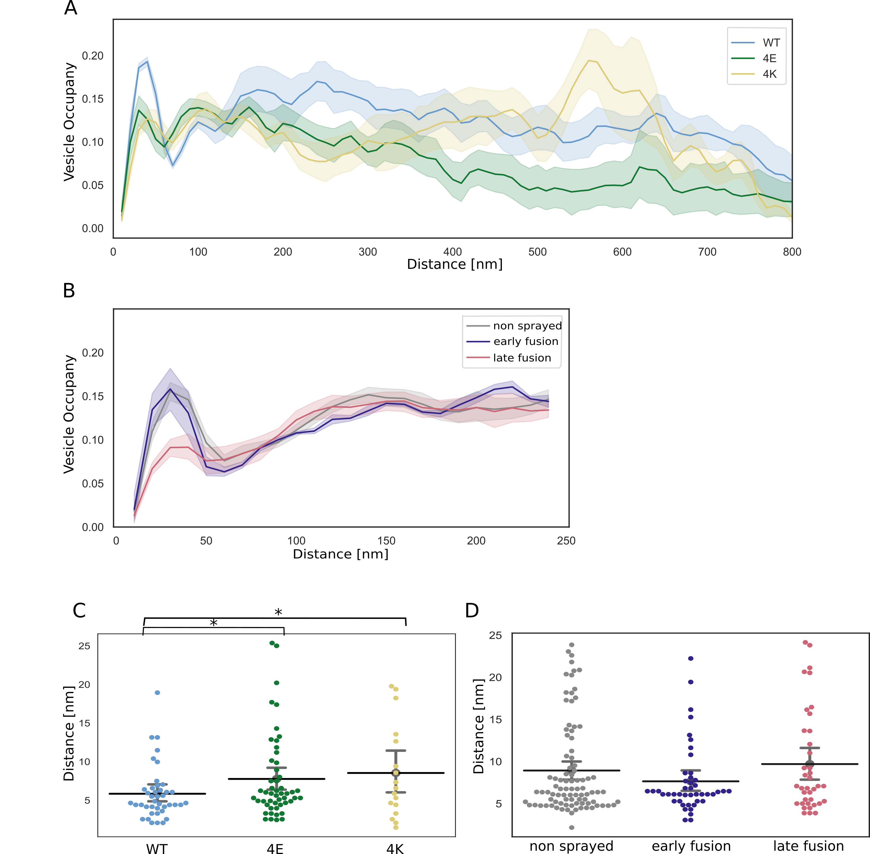 Figure 3: SV distribution. (A, B) Vesicle occupancy expressed as fraction of cytosol volume occupied by vesicles as a function of distance to AZ in (A) cultured neurons and (B) synaptosomes. Each solid line represents the mean occupancy value for the experimental group, while the shaded areas depict twice the standard error of the mean (SEM). (C, D) Distance of proximal SVs from the AZ. Horizontal line: mean; whiskers: 2xSEM interval. Statistical test: multiple all against control pairwise ANOVA comparisons with Benjamini-Hochberg correction; * : P<0.05